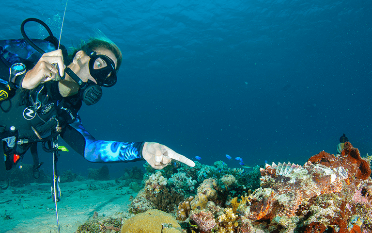Diving the Gilis