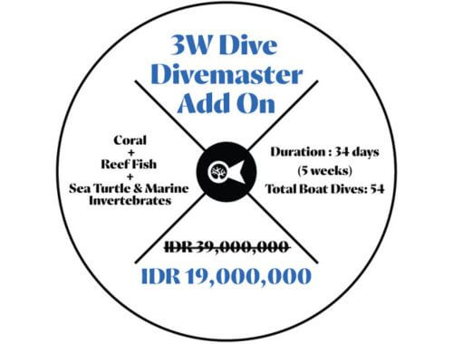 3W-addon-divemaster-marine-conservation-package