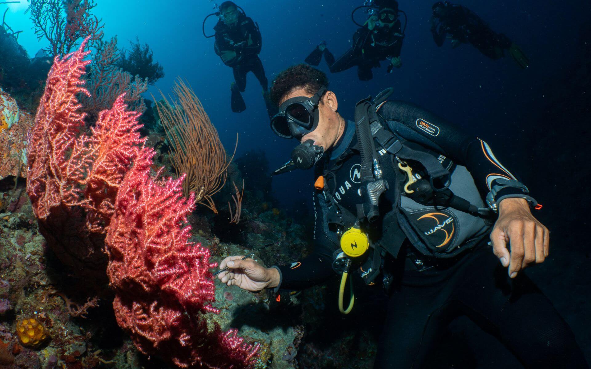 Hidden Work of a Good Divemaster