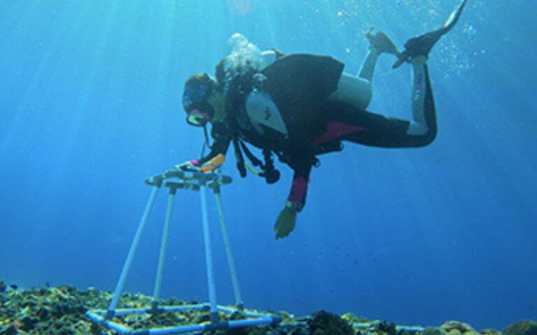 Divemaster Trainee Nicole