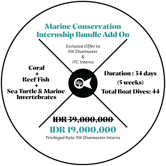full-bundle-ADD-ON (1)